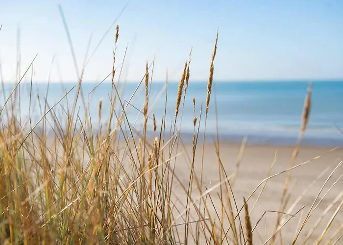 Gorgeous In Dunkerque With Wifi Appartamento *