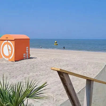 公寓 Beautiful In Dunkerque With Wifi *