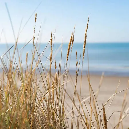 Gorgeous In Dunkerque With Wifi Apartment *